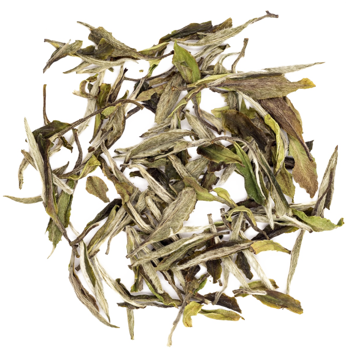 Bai Mu Dan