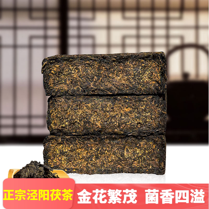 Fu Zhuan